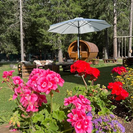 Wildhomes Wild Wolf Lodge Courmayeur Ngoại thất bức ảnh
