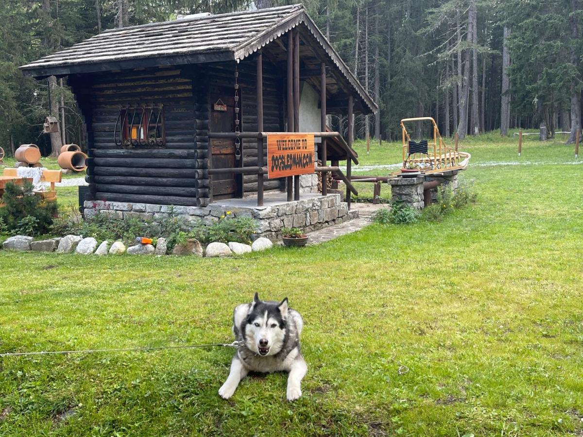 Wildhomes Wild Wolf Lodge Courmayeur Ngoại thất bức ảnh