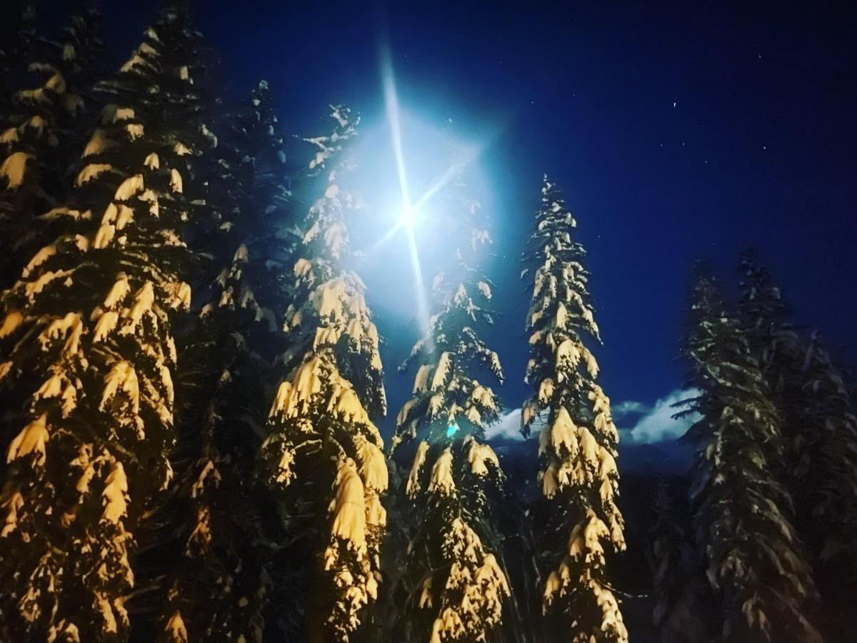 Wildhomes Wild Wolf Lodge Courmayeur Ngoại thất bức ảnh