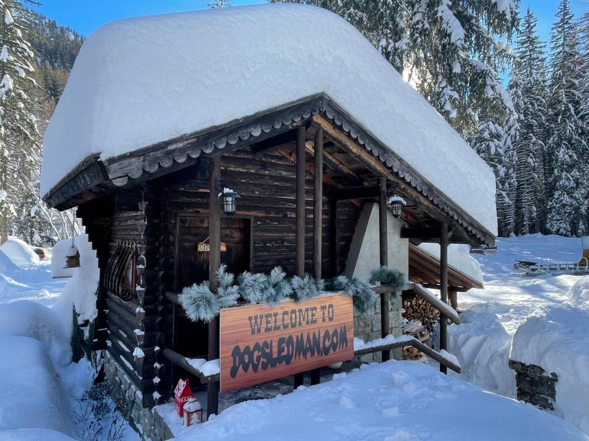 Wildhomes Wild Wolf Lodge Courmayeur Ngoại thất bức ảnh