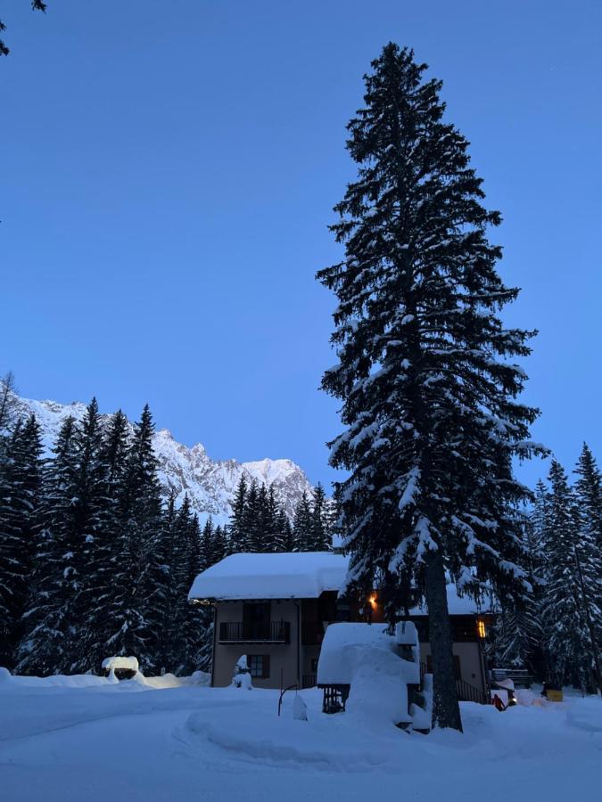 Wildhomes Wild Wolf Lodge Courmayeur Ngoại thất bức ảnh