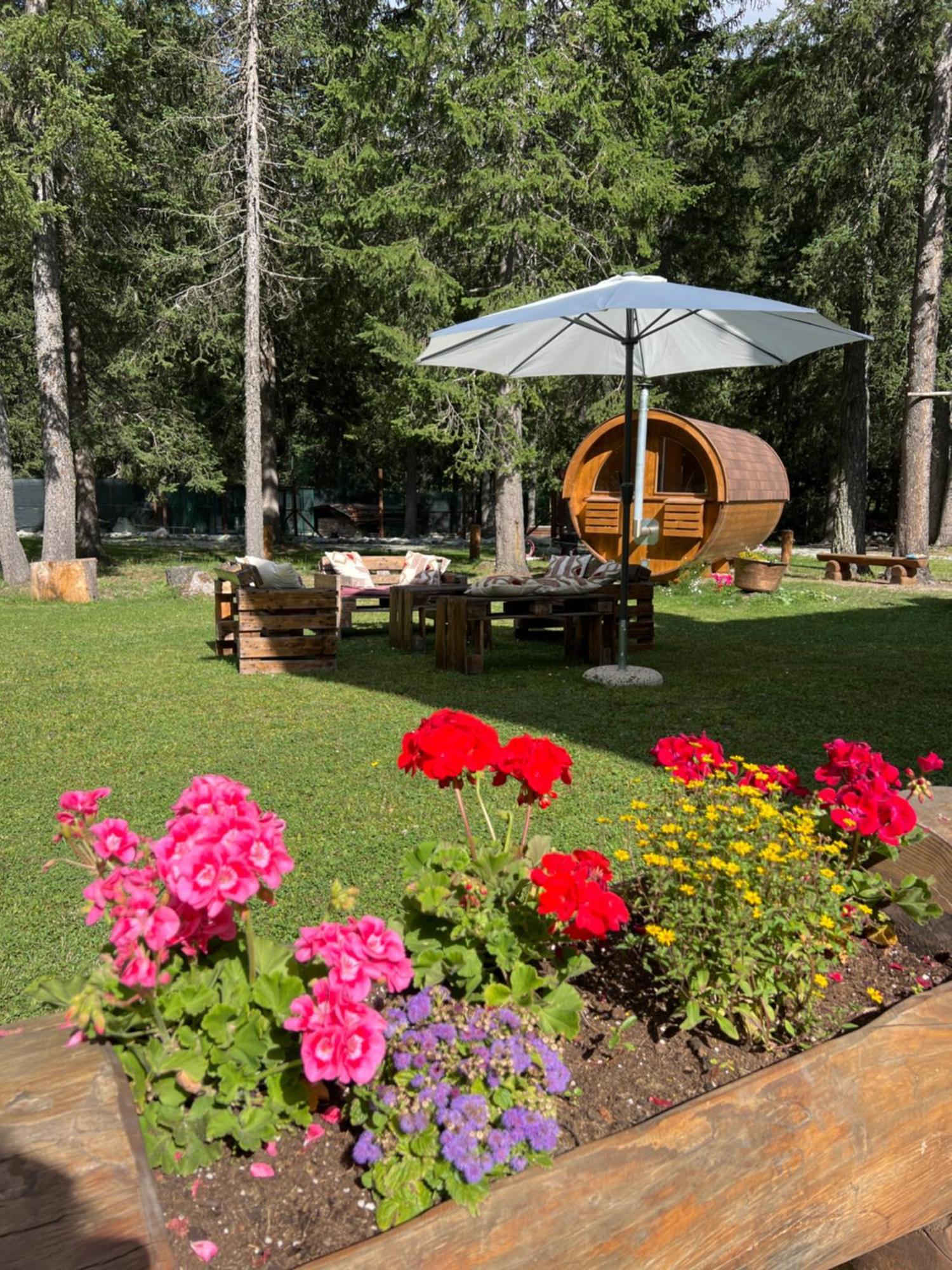 Wildhomes Wild Wolf Lodge Courmayeur Ngoại thất bức ảnh
